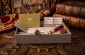 visconti stefan batory pens limit i korona moneta skuwka.jpeg